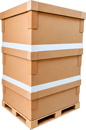 Vishnu Packs Product 1